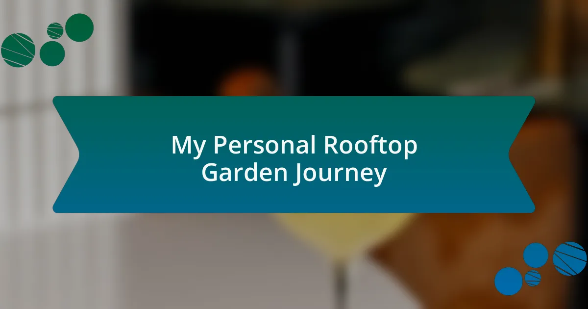My Personal Rooftop Garden Journey